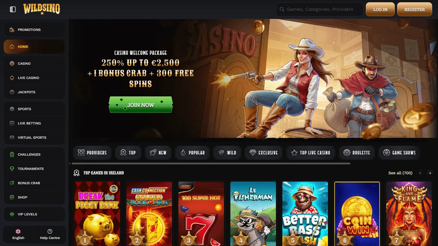Wildsino Casino desktop home screen with casino offer and account options